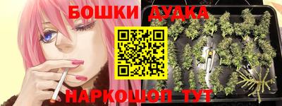 скорость Будённовск